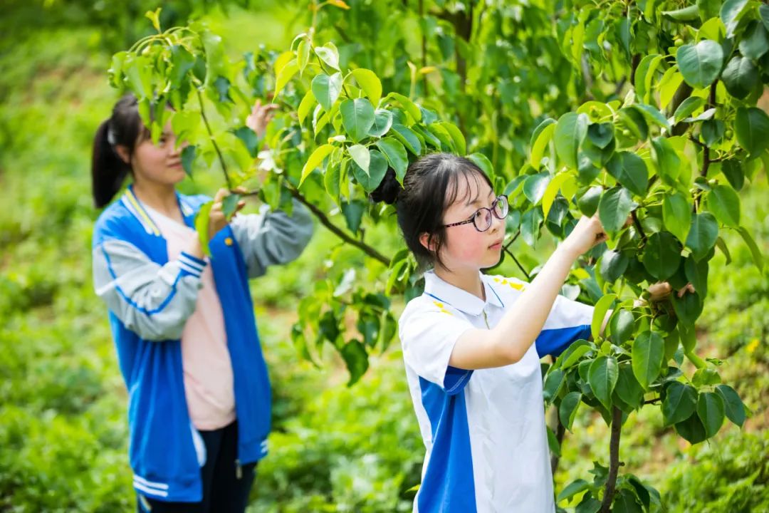 芳华百廿再续弦歌五定格苍溪中学百廿魅力瞬间