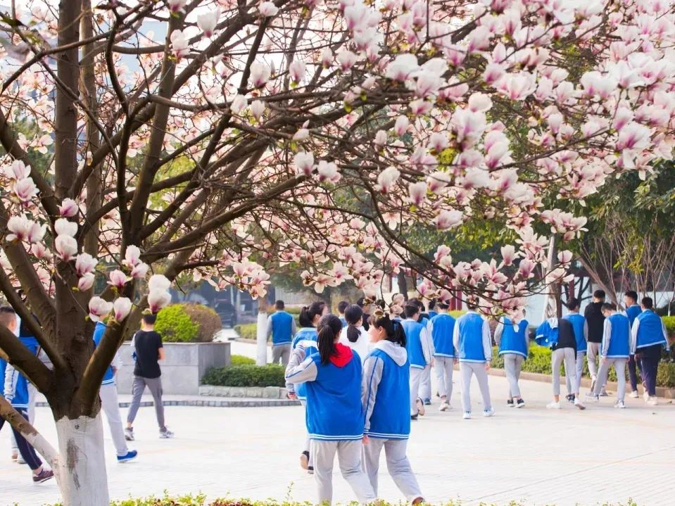 芳華百廿再續絃歌五定格蒼溪中學百廿魅力瞬間