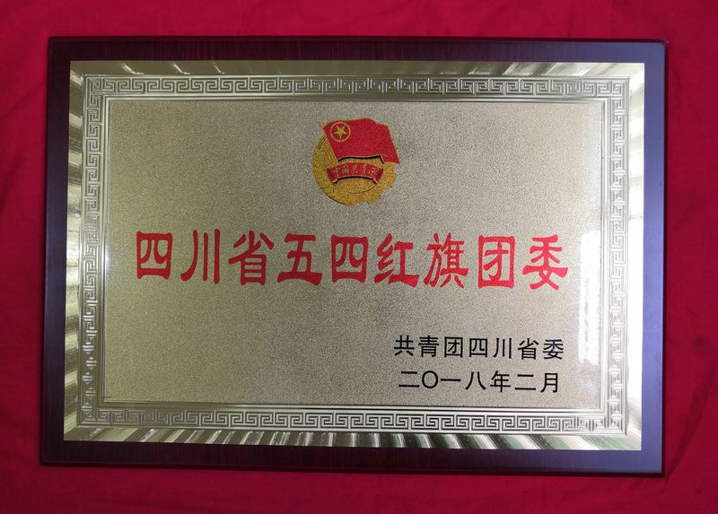 四川省五四红旗团委.jpg