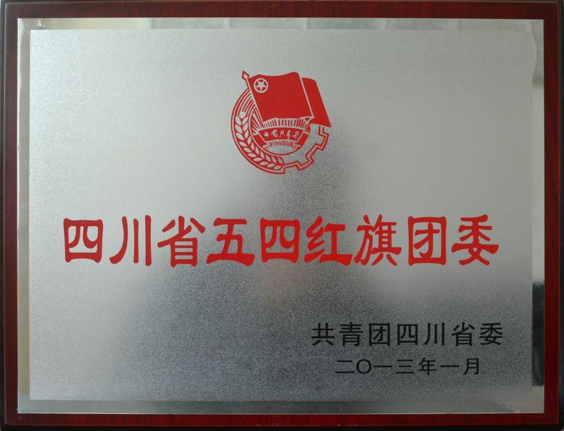五四红旗团委.JPG